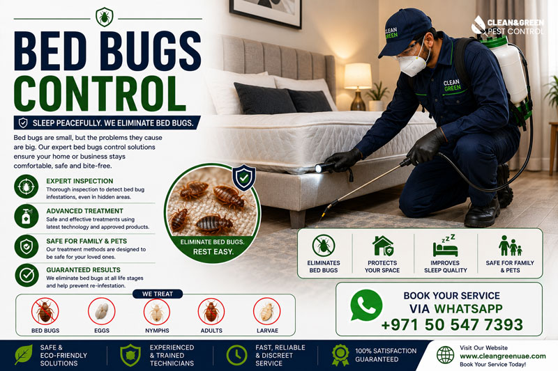 Bed bug exterminator treating a bedroom in Sharjah