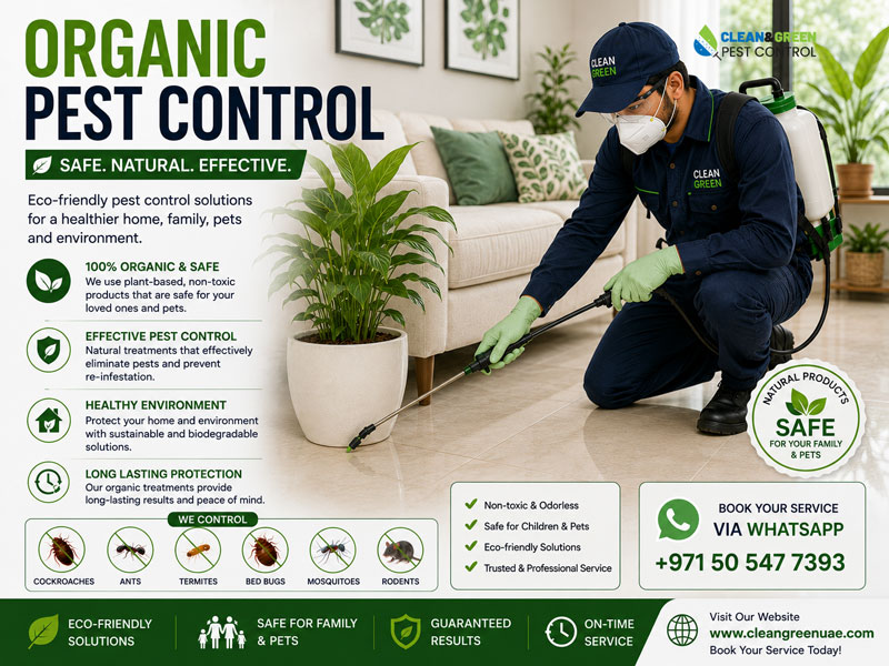 Eco-friendly pest control products used in a Sharjah kitchen