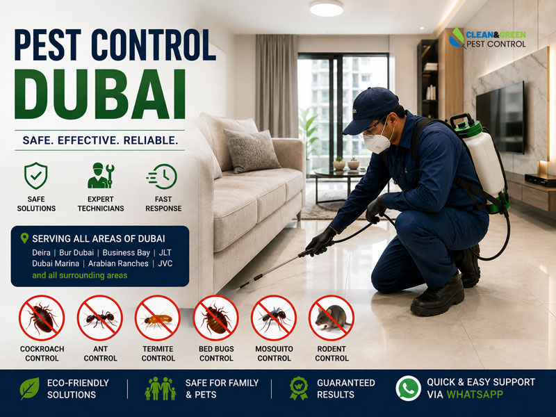 Residential pest control treatment in a Dubai apartment